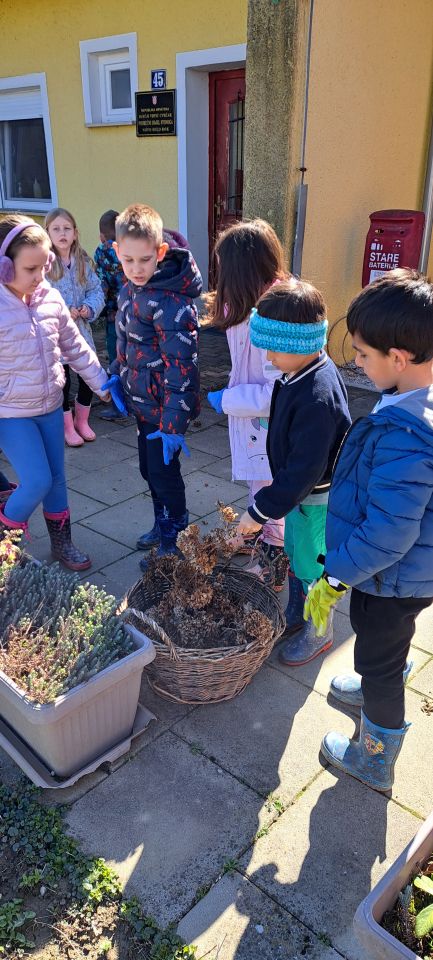 ZELENA AVANTURA Djeca iz Stonoge uređuju vrtićki okoliš (10)