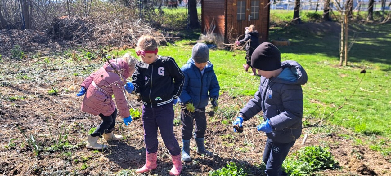 ZELENA AVANTURA Djeca iz Stonoge uređuju vrtićki okoliš (3)