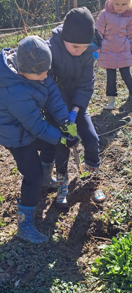 ZELENA AVANTURA Djeca iz Stonoge uređuju vrtićki okoliš (4)