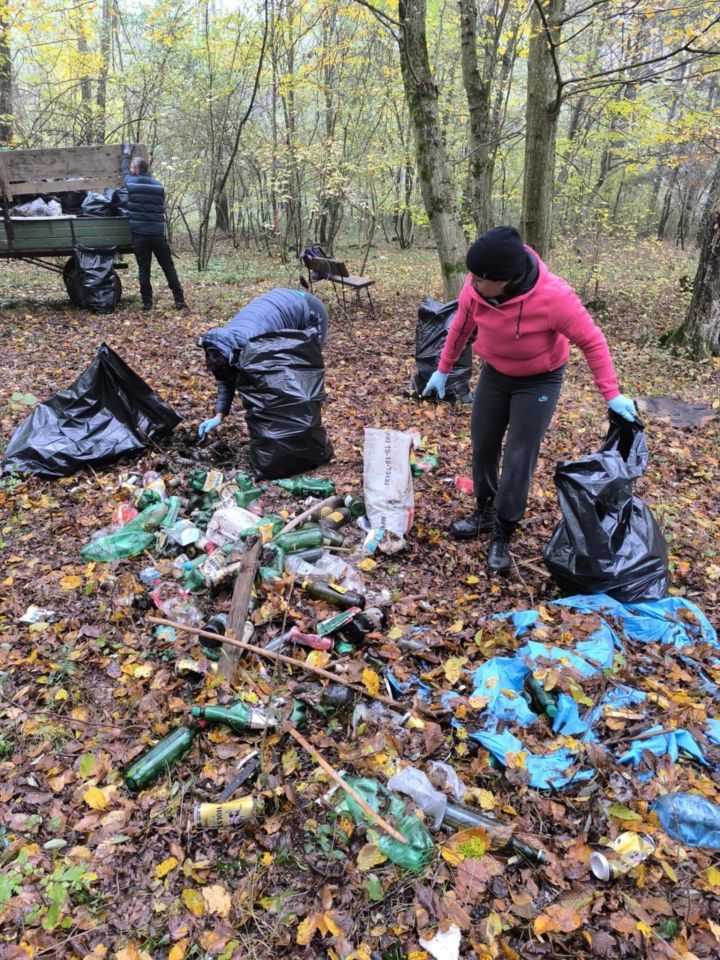 ZELENA ČISTKA U HODOŠANU Župljani i članovi udruge ‘Prode’ očistili šumu i okolna područja (3)
