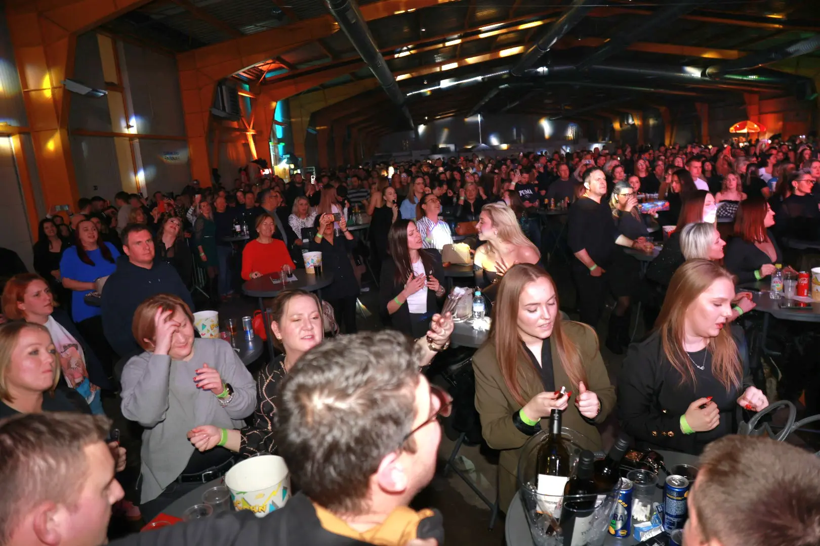 ŽELJKO SAMARDŽIĆ koncert Mesap 05-01-2026 (5)