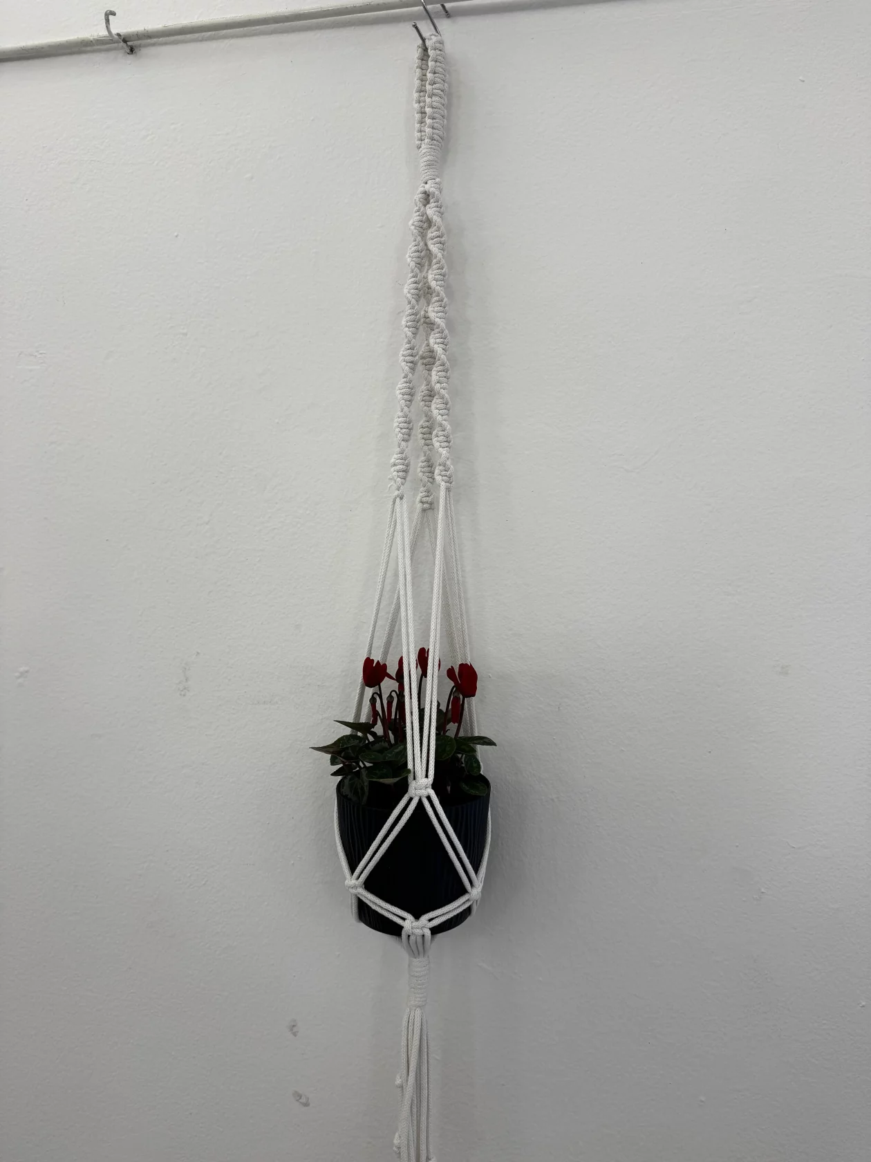 ŽENE ČUVARICE TRADICIJE – Udruga žena zlatne ruke 15 godina suradnje sa slovenskom udrugom (10)