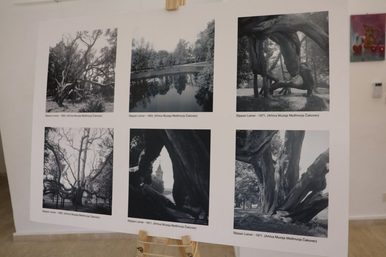 ZGRADA SCHEIER Perivoj Zrinski slavi 50. rođendan MŽ postala dio prestižne europske mreže zaštićenih područja (17) ZGRADA SCHEIER Perivoj Zrinski slavi 50. rođendan MŽ postala dio prestižne europske mreže zaštićenih područja (17)