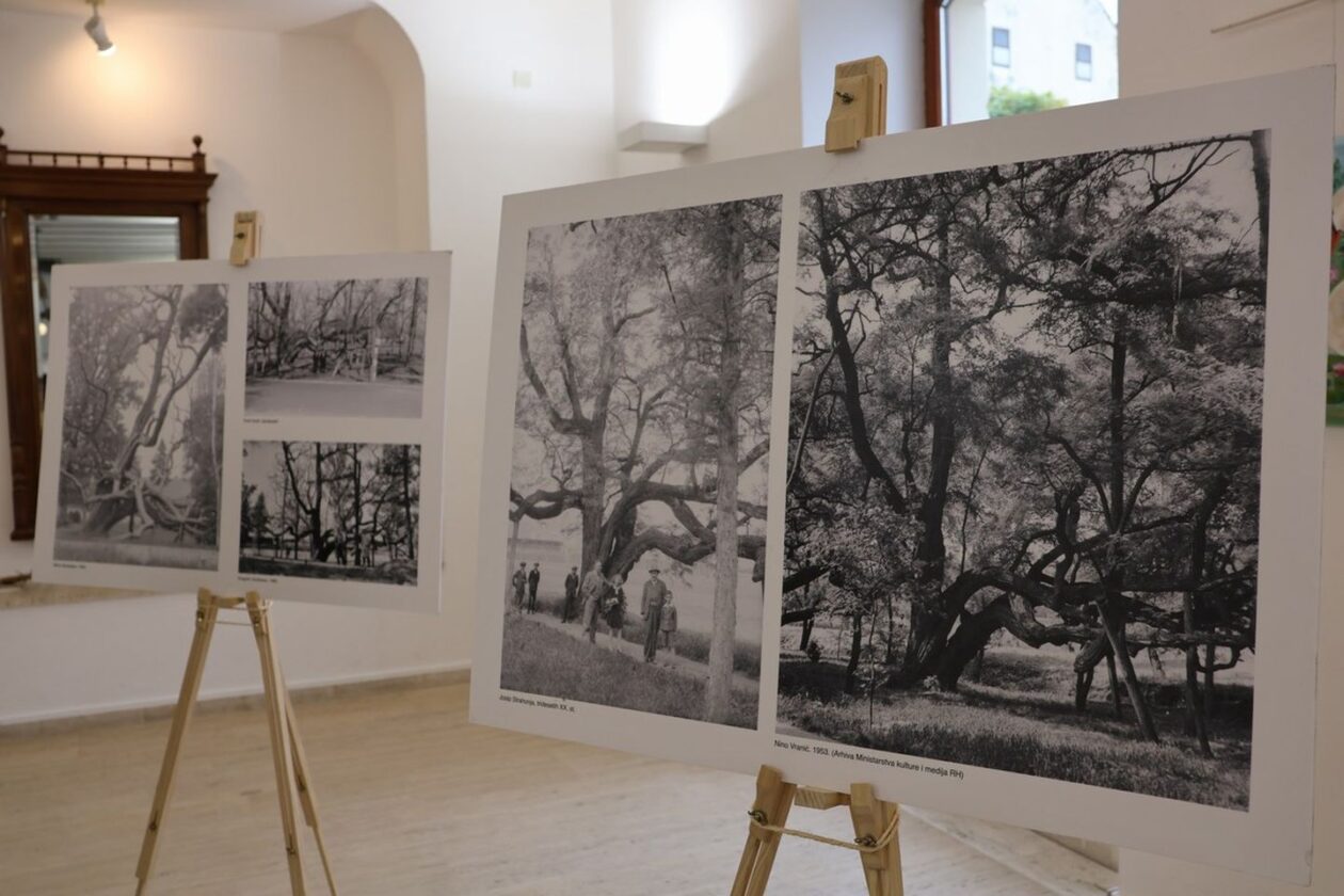 ZGRADA SCHEIER Perivoj Zrinski slavi 50. rođendan MŽ postala dio prestižne europske mreže zaštićenih područja (18) ZGRADA SCHEIER Perivoj Zrinski slavi 50. rođendan MŽ postala dio prestižne europske mreže zaštićenih područja (18)
