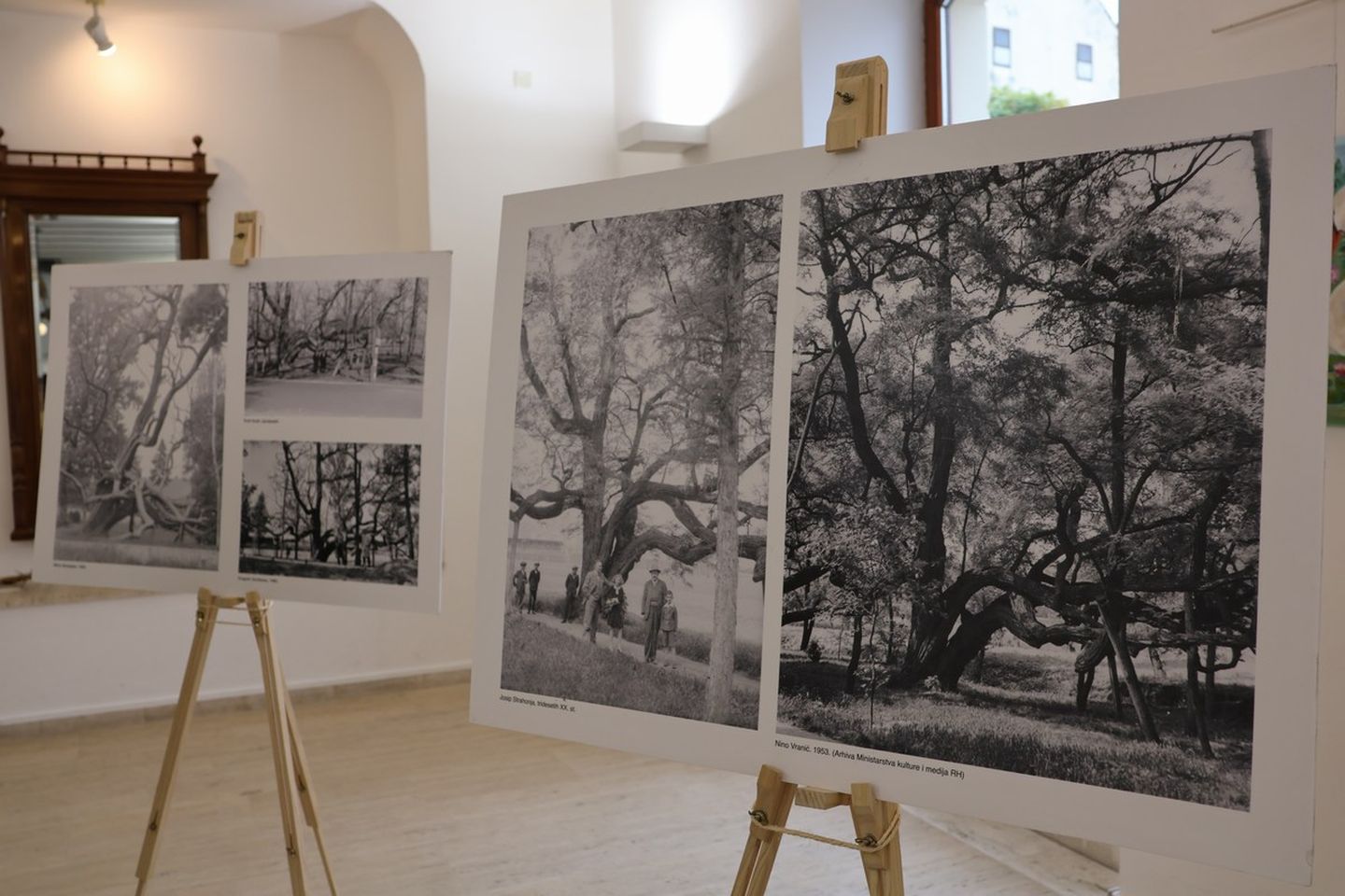 ZGRADA SCHEIER Perivoj Zrinski slavi 50. rođendan MŽ postala dio prestižne europske mreže zaštićenih područja (18)