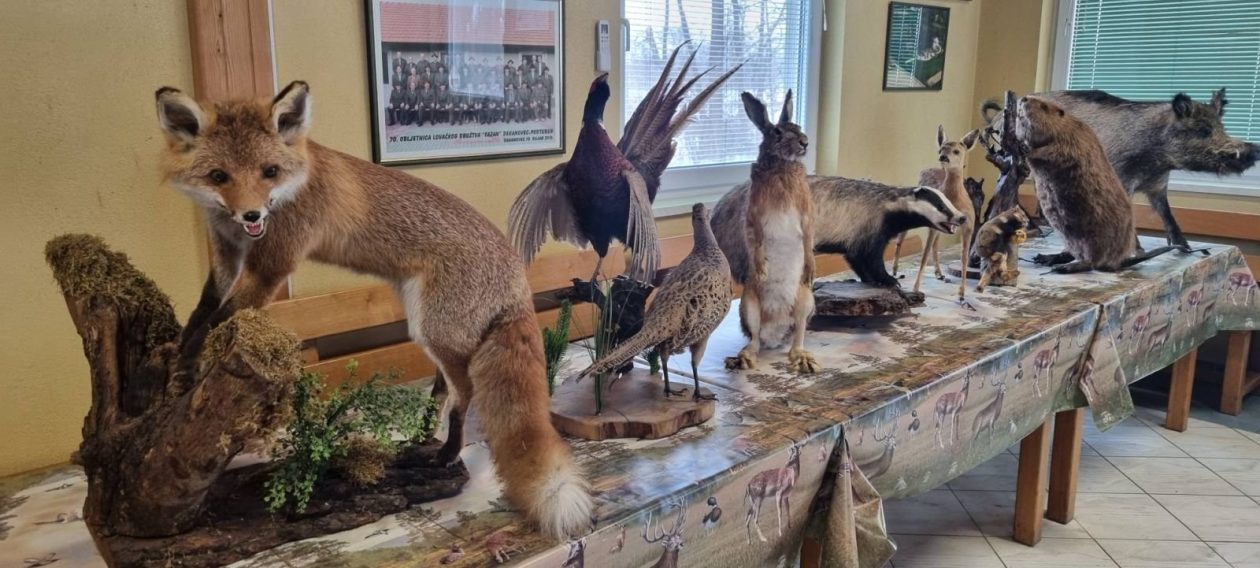 ZIMA U ZAVIČAJU Učenici PŠ Florijana Andrašeca s lovcima učili kako se zimi brine o šumskim životinjama (11)