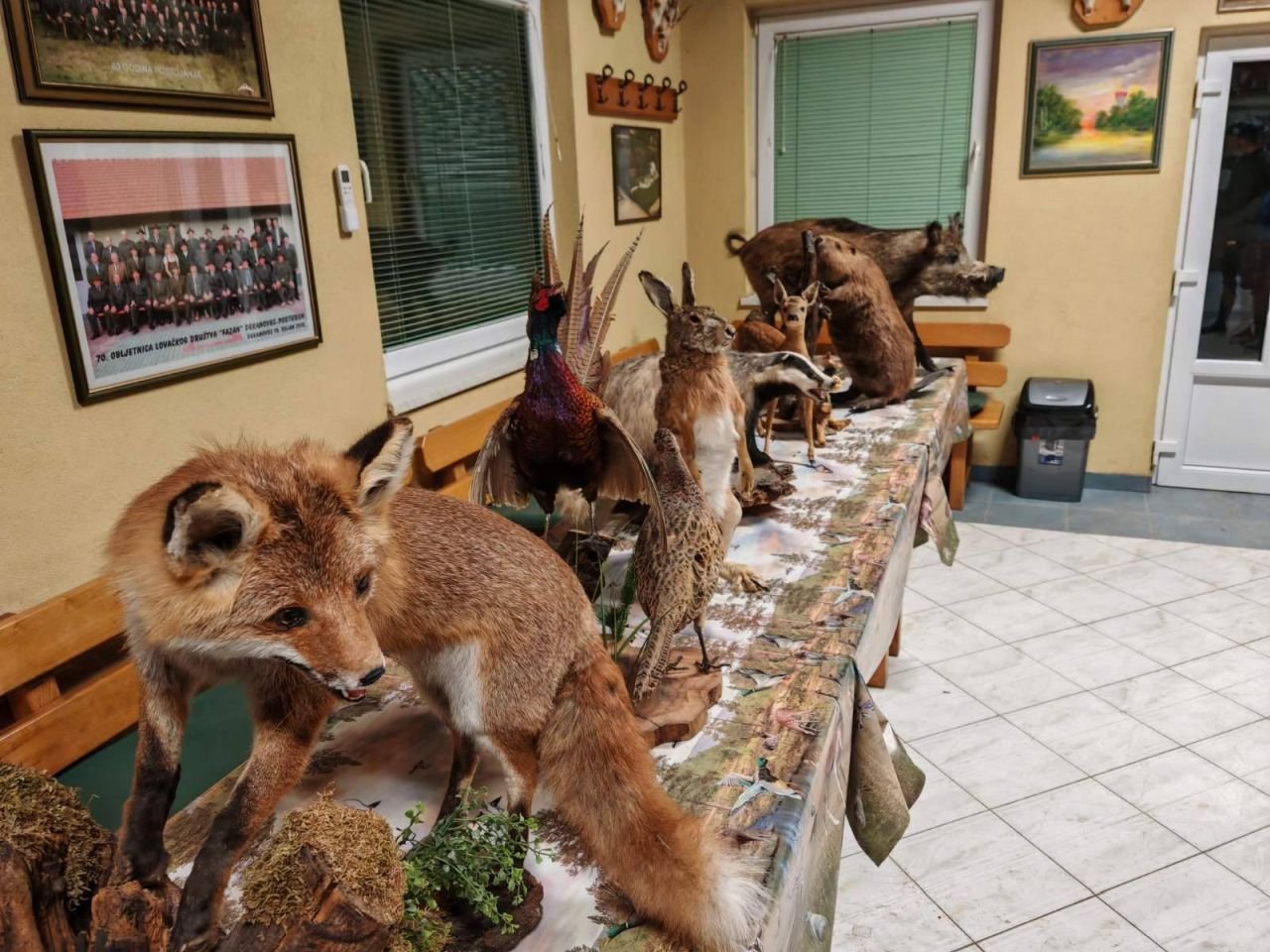 ZIMA U ZAVIČAJU Učenici PŠ Florijana Andrašeca s lovcima učili kako se zimi brine o šumskim životinjama (2)