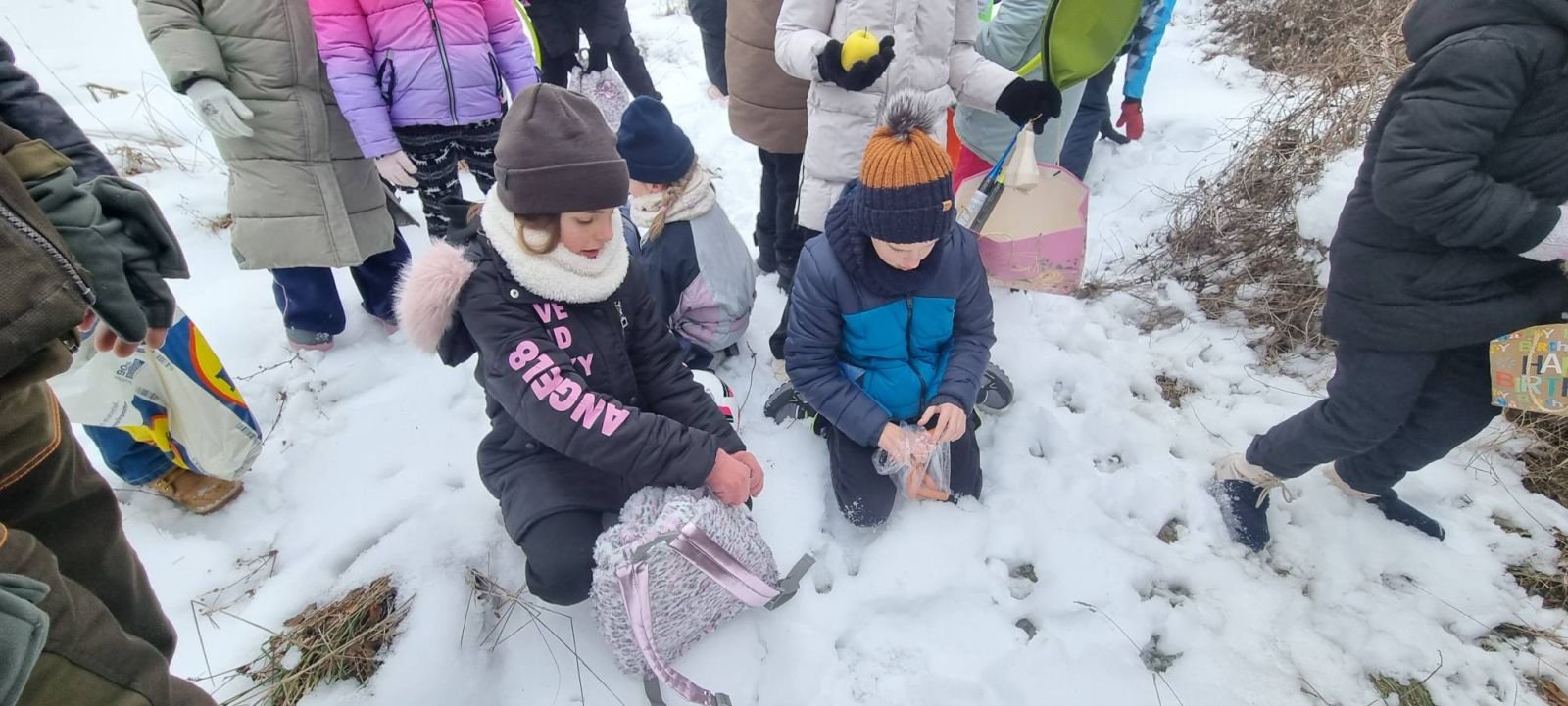 ZIMA U ZAVIČAJU Učenici PŠ Florijana Andrašeca s lovcima učili kako se zimi brine o šumskim životinjama (26)