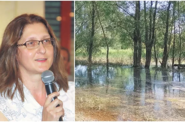 ŽUPANIJSKI PROSTORNI PLAN Jesu li kućice na drvetu dobro rješenje za turistički smještaj – vesna makovec