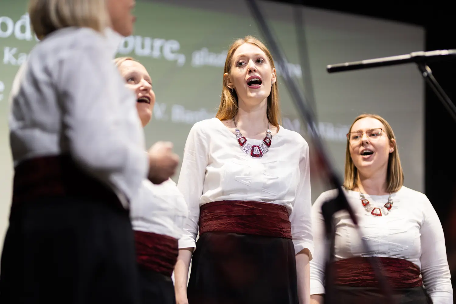 ŽVS Stridonne 10 ŽVS Stridonne 10