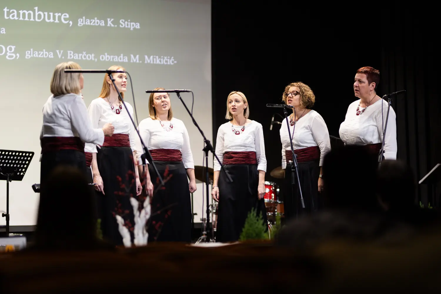 ŽVS Stridonne 12 ŽVS Stridonne 12