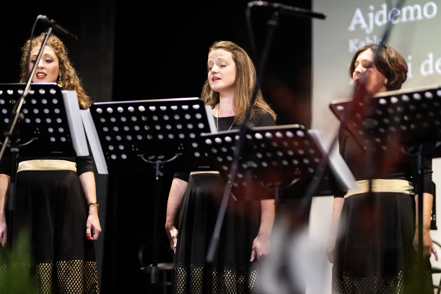 ŽVS Stridonne 17 ŽVS Stridonne 17