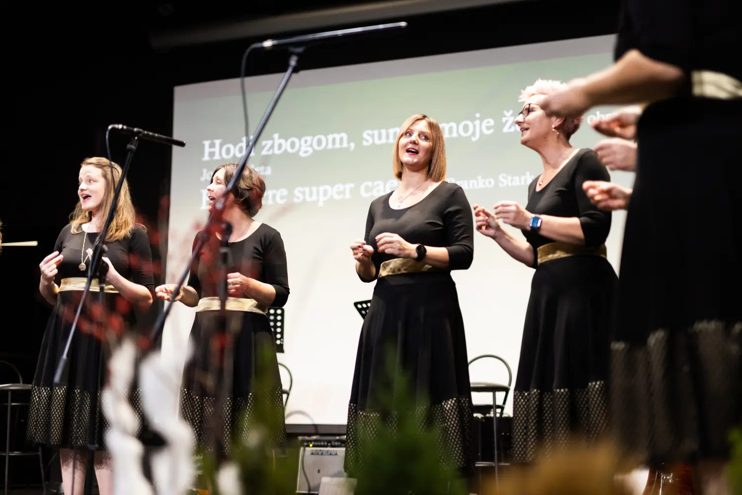 ŽVS Stridonne 20 ŽVS Stridonne 20