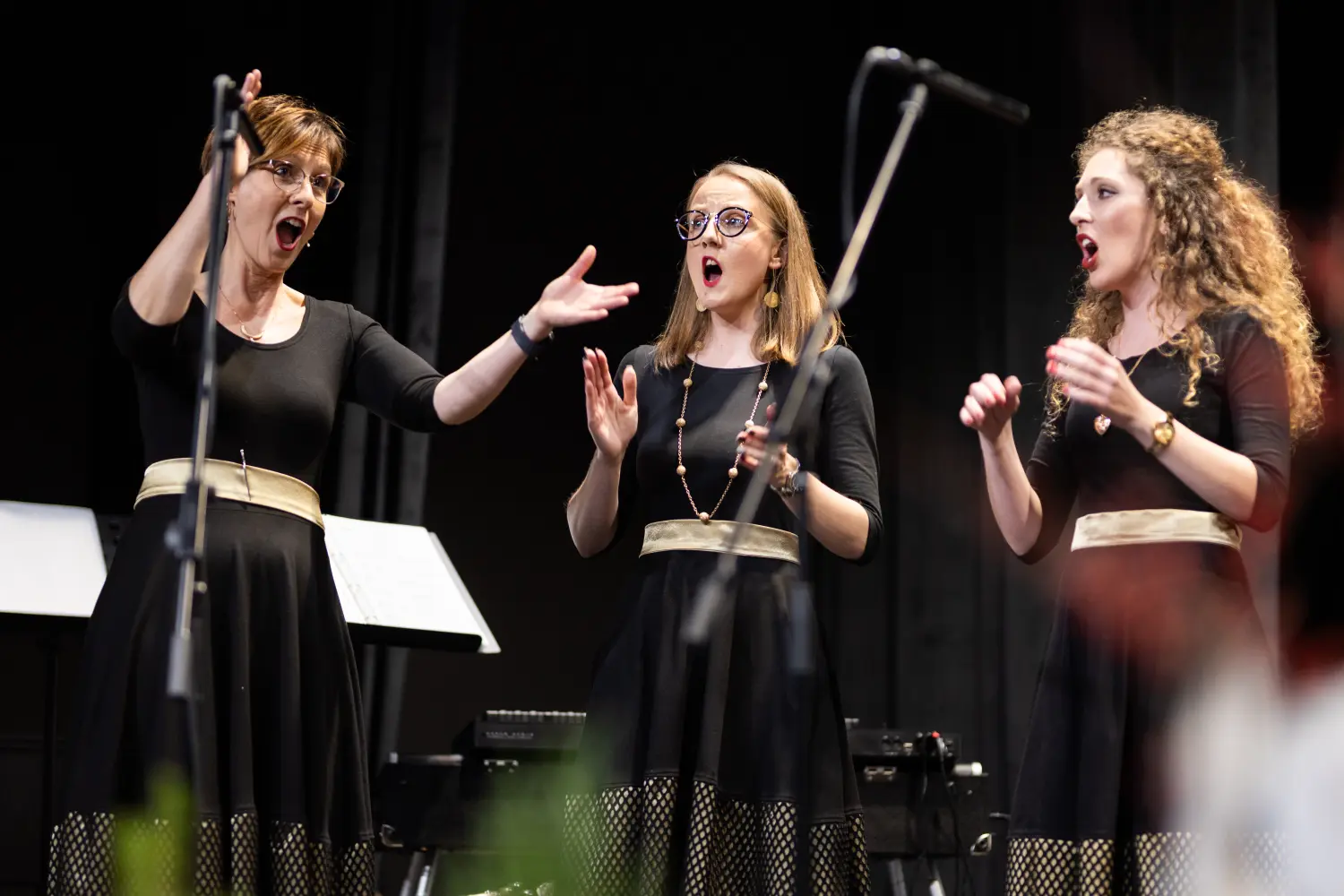 ŽVS Stridonne 21 ŽVS Stridonne 21