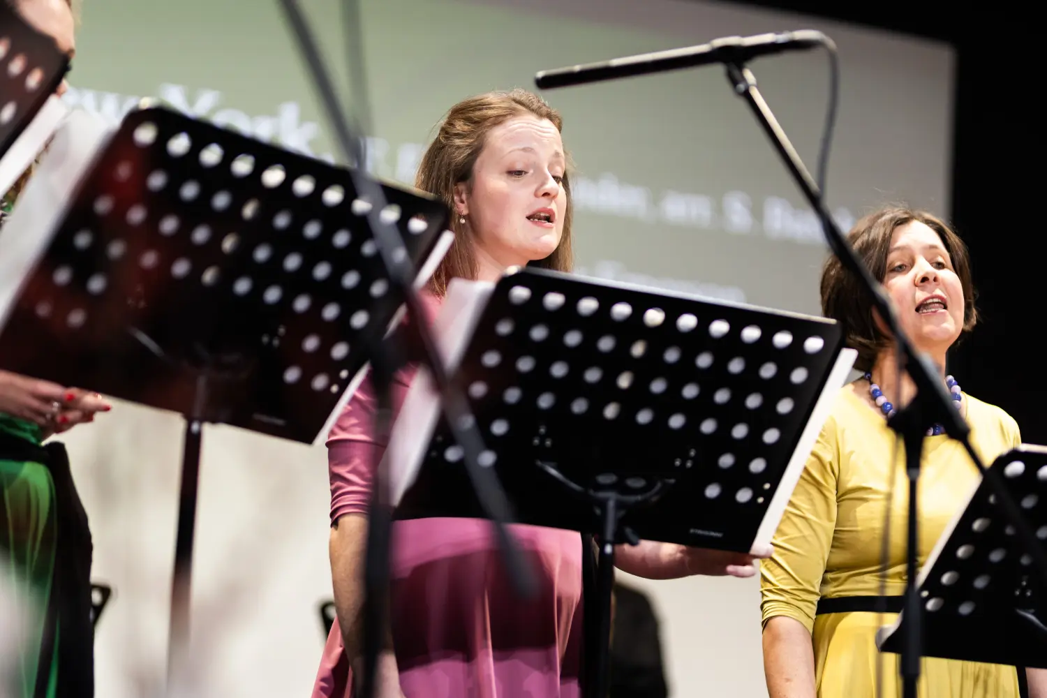 ŽVS Stridonne 25 ŽVS Stridonne 25