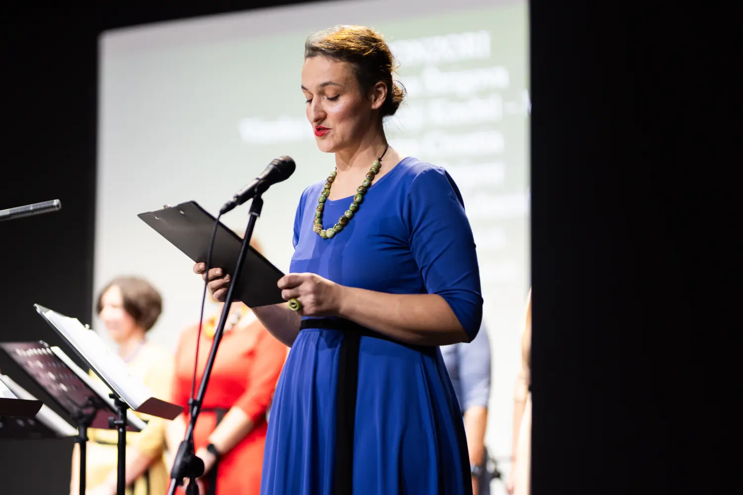 ŽVS Stridonne 29 ŽVS Stridonne 29