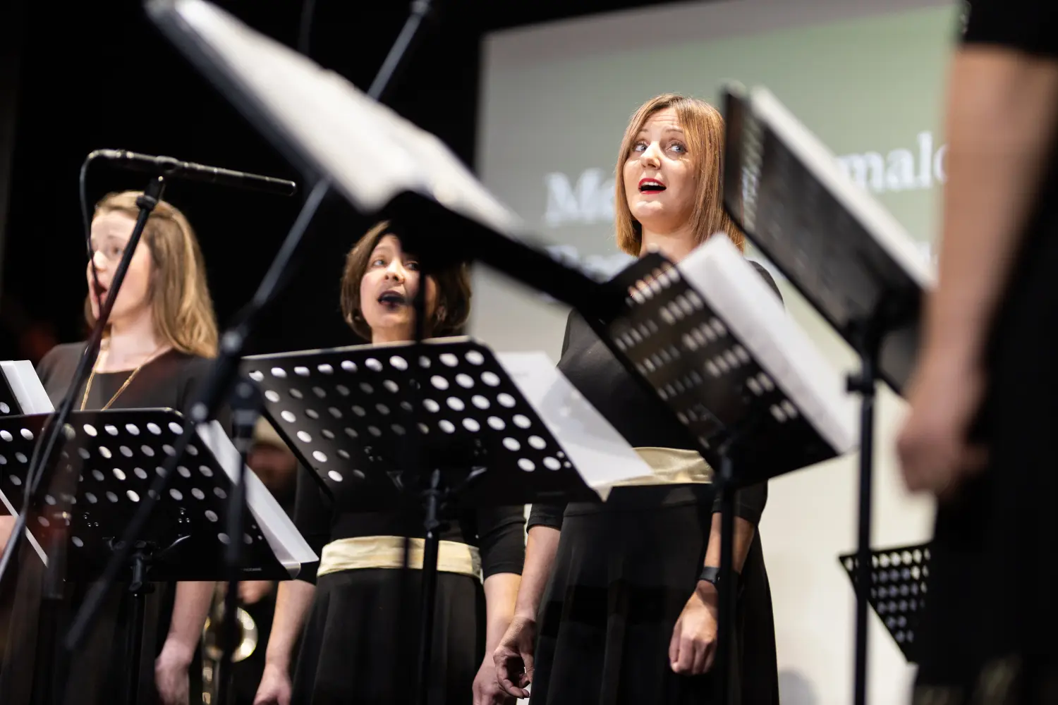 ŽVS Stridonne 4 ŽVS Stridonne 4