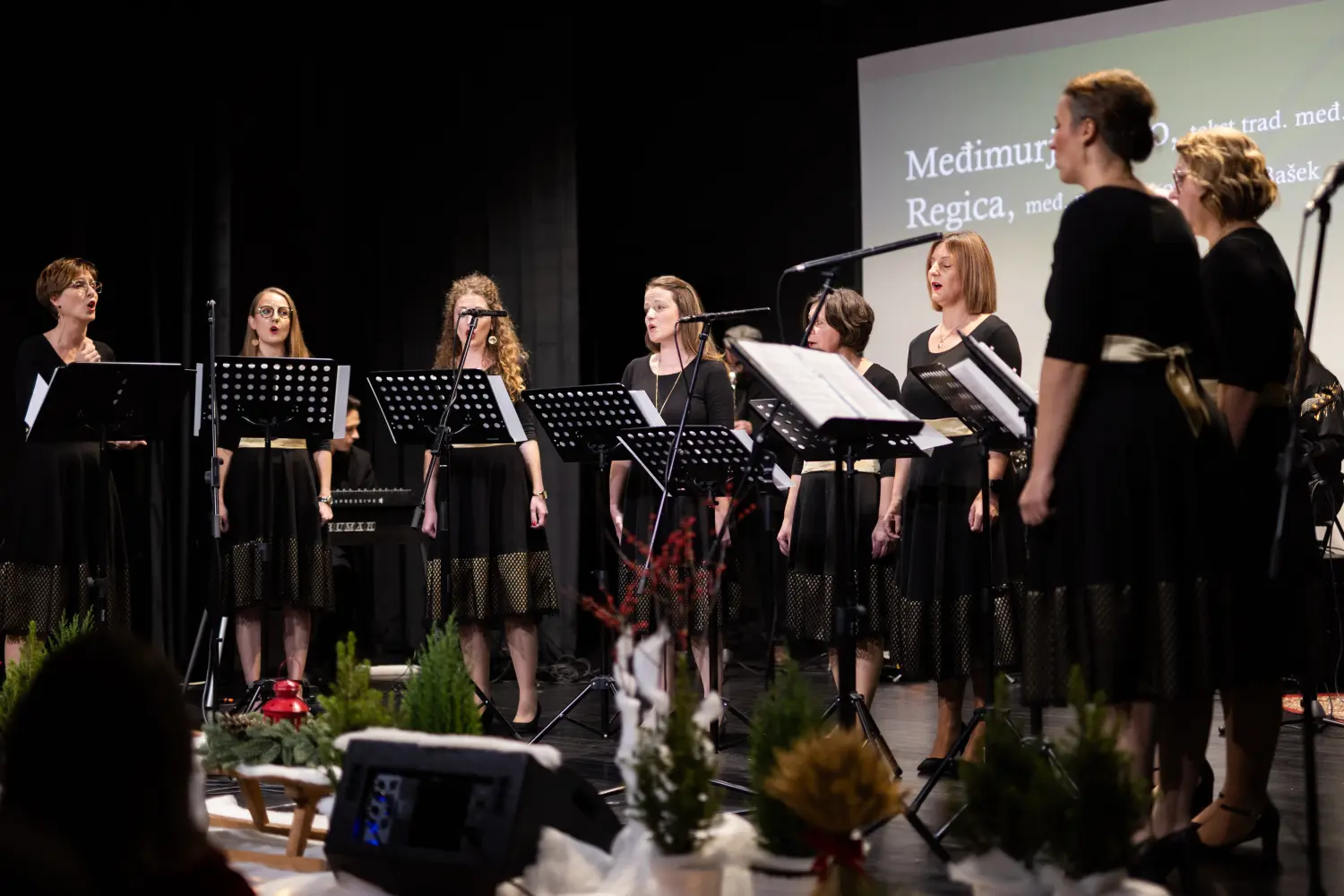 ŽVS Stridonne 6 ŽVS Stridonne 6