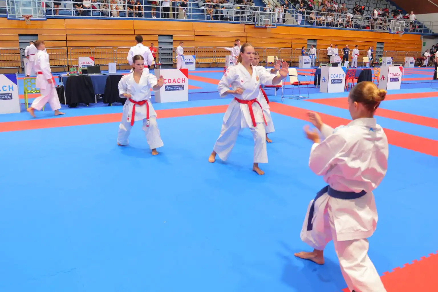 Zadnja sportska subota u kolovozu – Čakovec 2024 (2) Zadnja sportska subota u kolovozu – Čakovec 2024 (2)