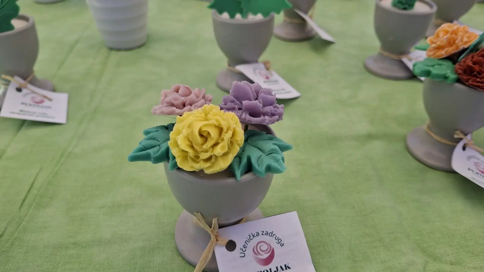 Zadruge, smotra, Čakovec (2)