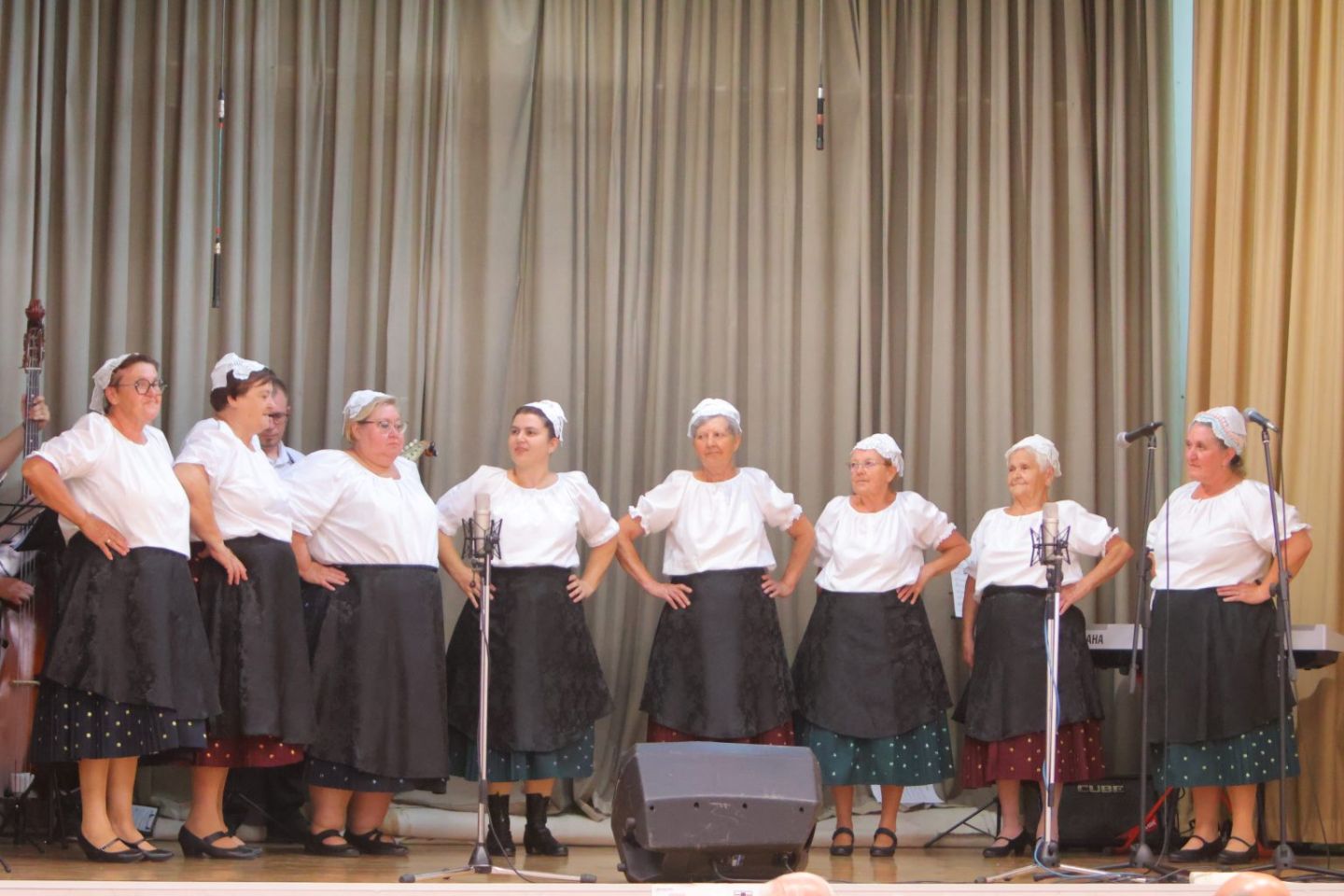 Zajedno za druge Mačkovec humanitarni koncert (11)