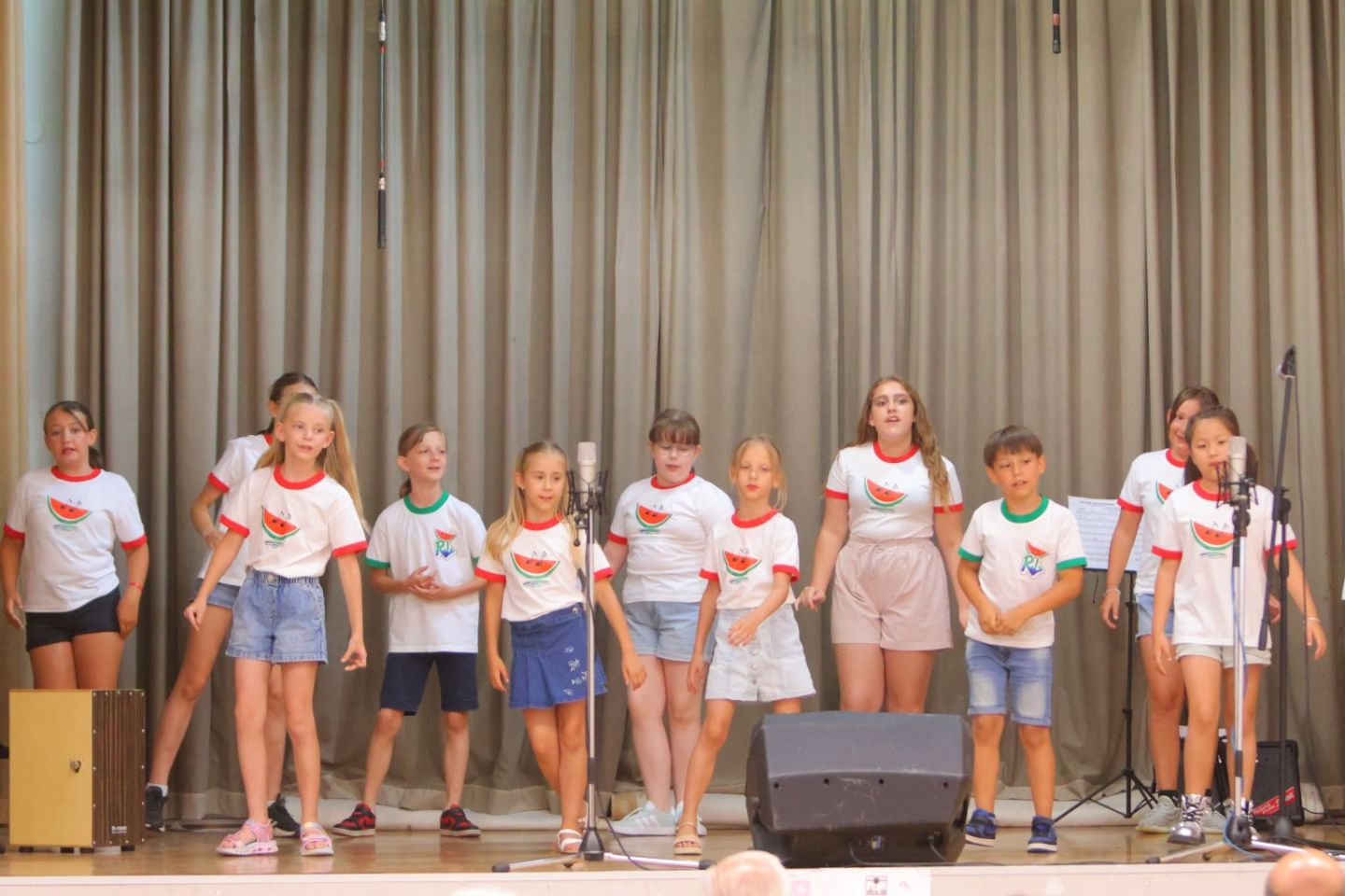 Zajedno za druge Mačkovec humanitarni koncert (3)