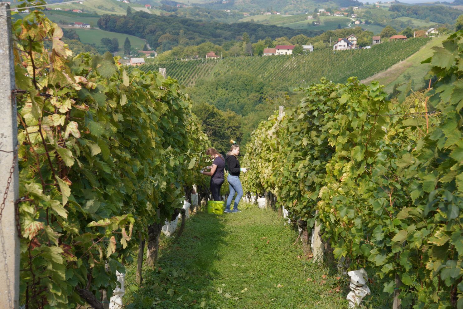 Zaklada Katruža 25 godina (71)