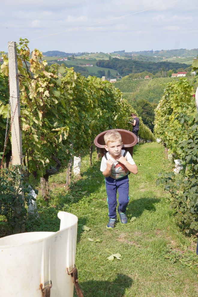 Zaklada Katruža 25 godina (74)