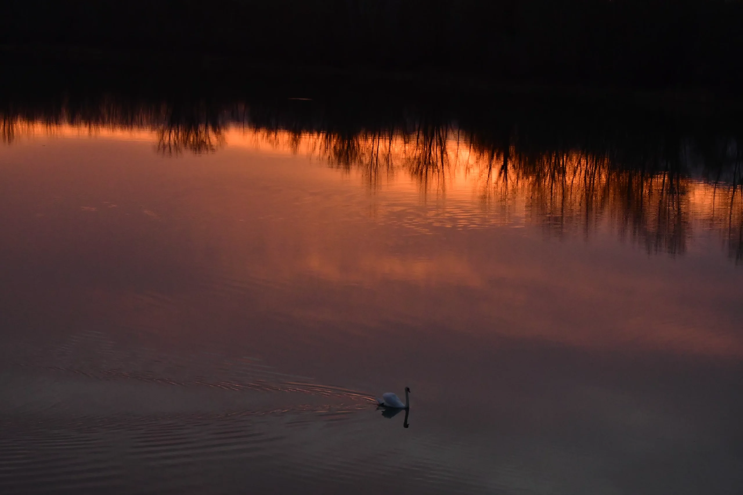 Zalazak u Međimurju (1)