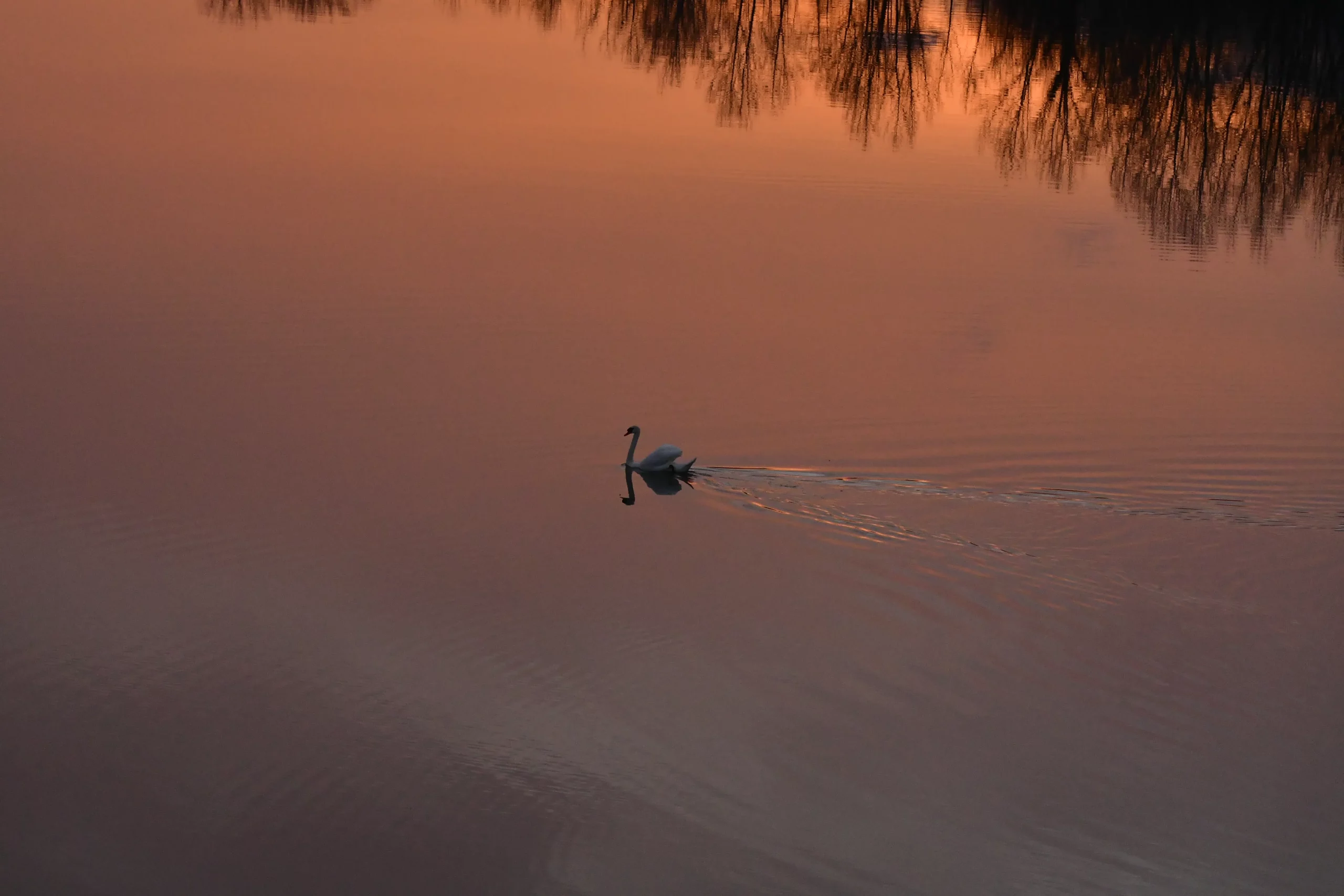 Zalazak u Međimurju (2)