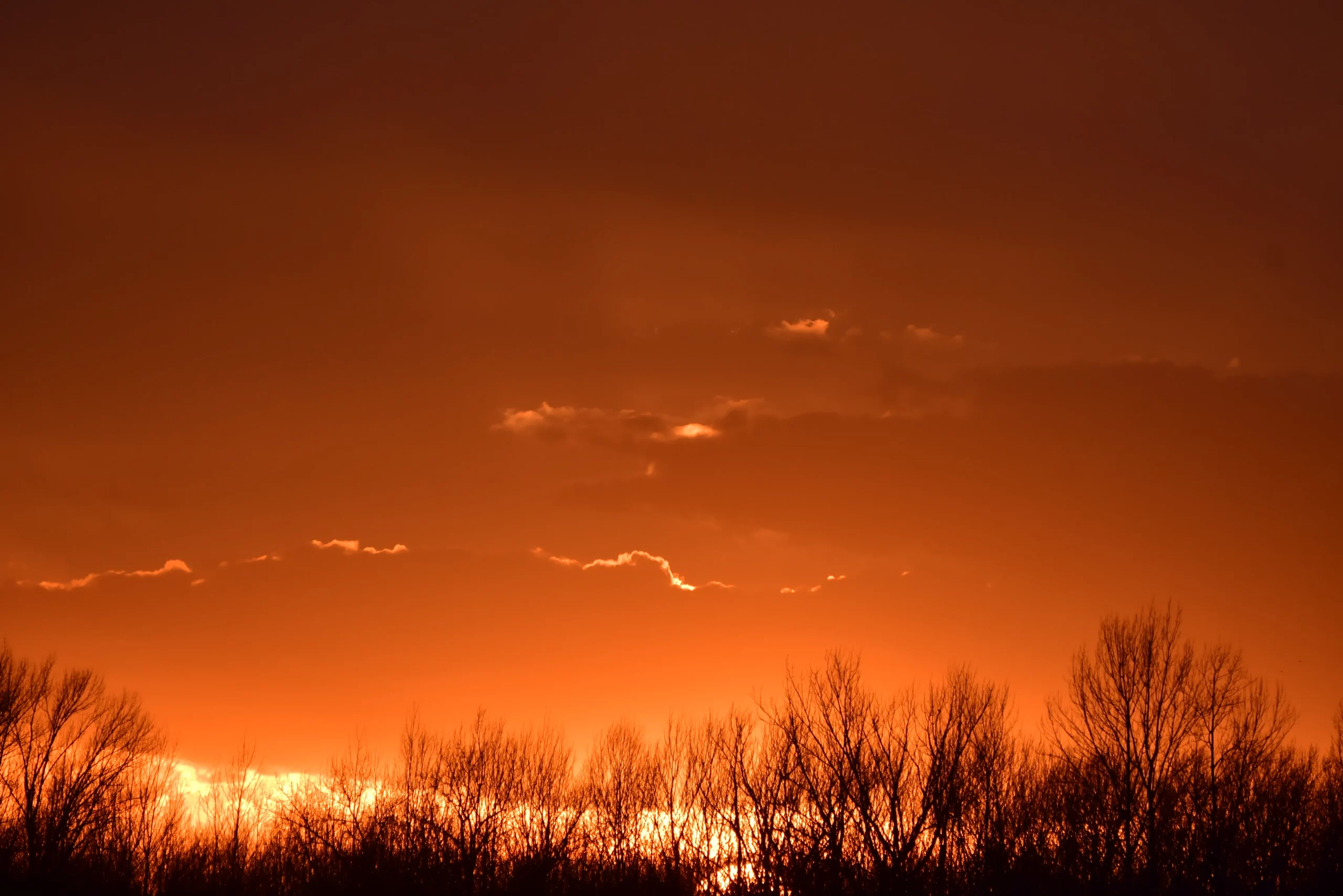 Zalazak u Međimurju (6)