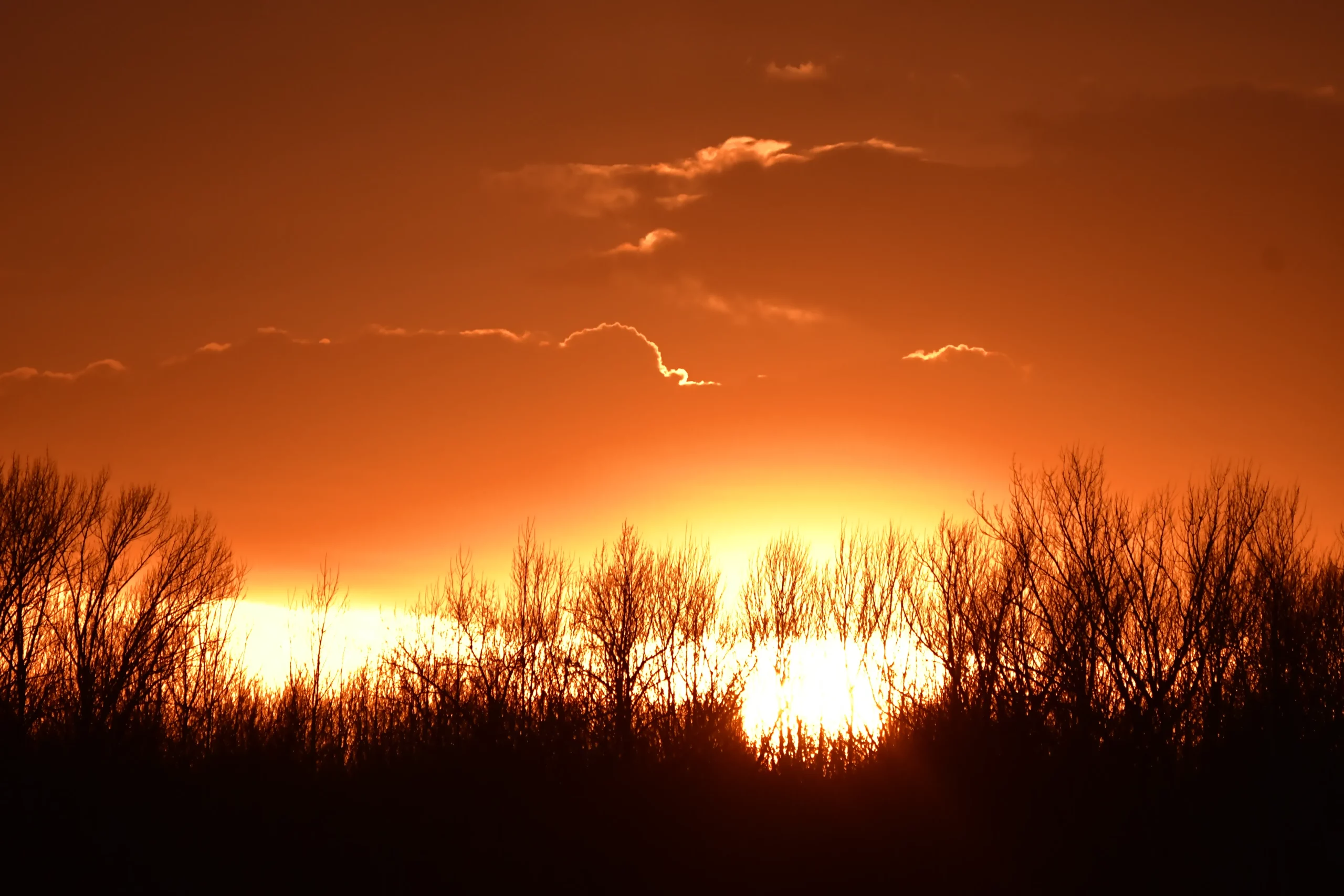 Zalazak u Međimurju (7)