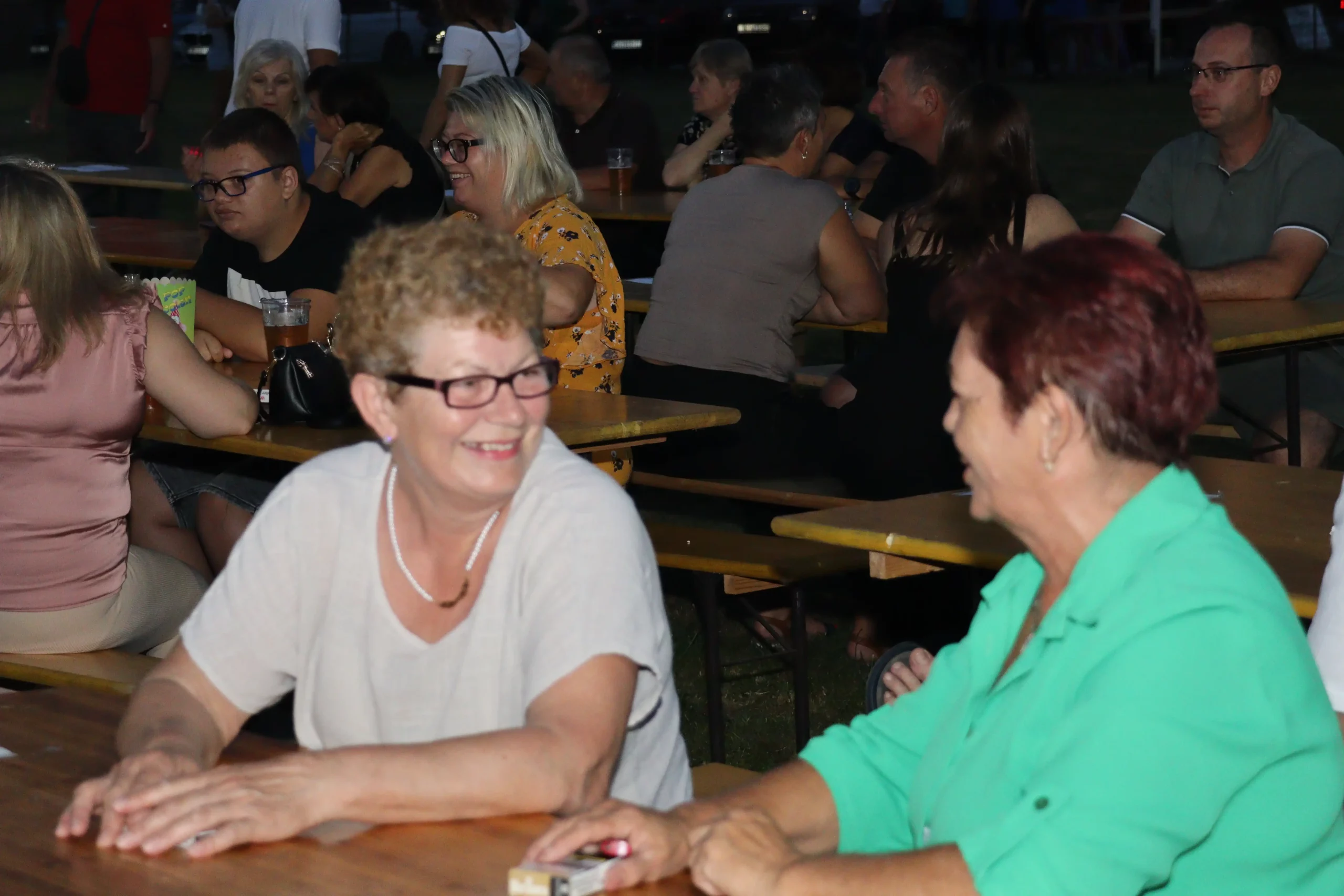 Zasadbreg – koncert Mladena grdovića (26) Zasadbreg – koncert Mladena grdovića (26)