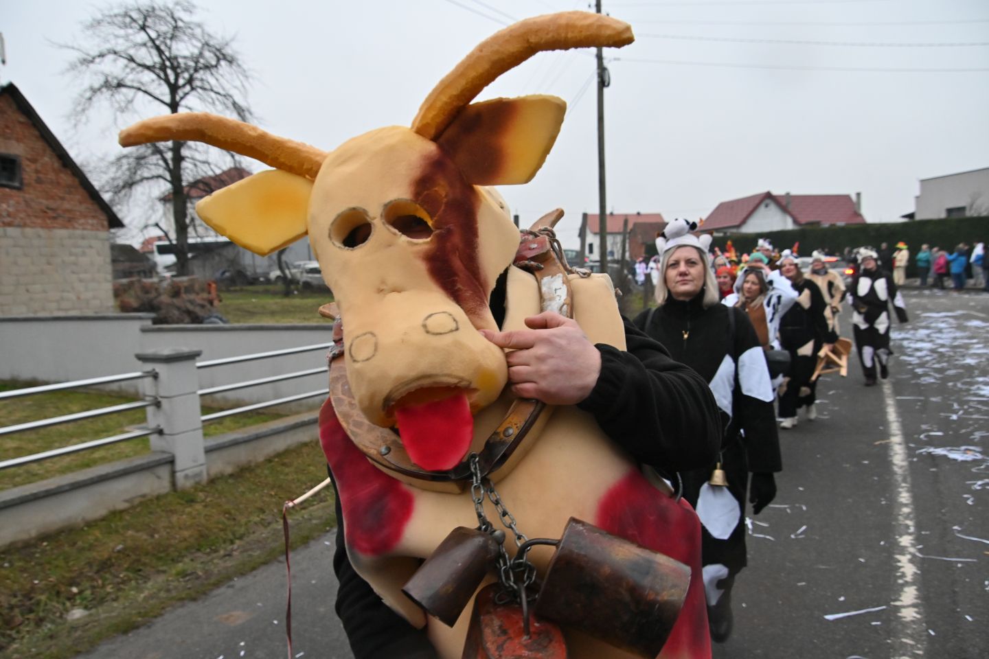 Zasadbreg maškare 2026 (20)