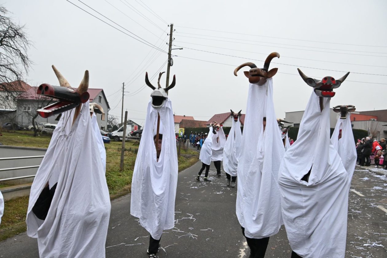 Zasadbreg maškare 2026 (4)