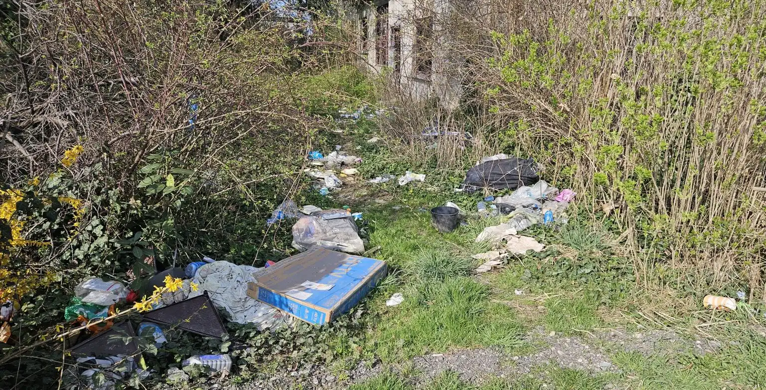 Zelena čistka akcija 2024 (12) Zelena čistka akcija 2024 (12)