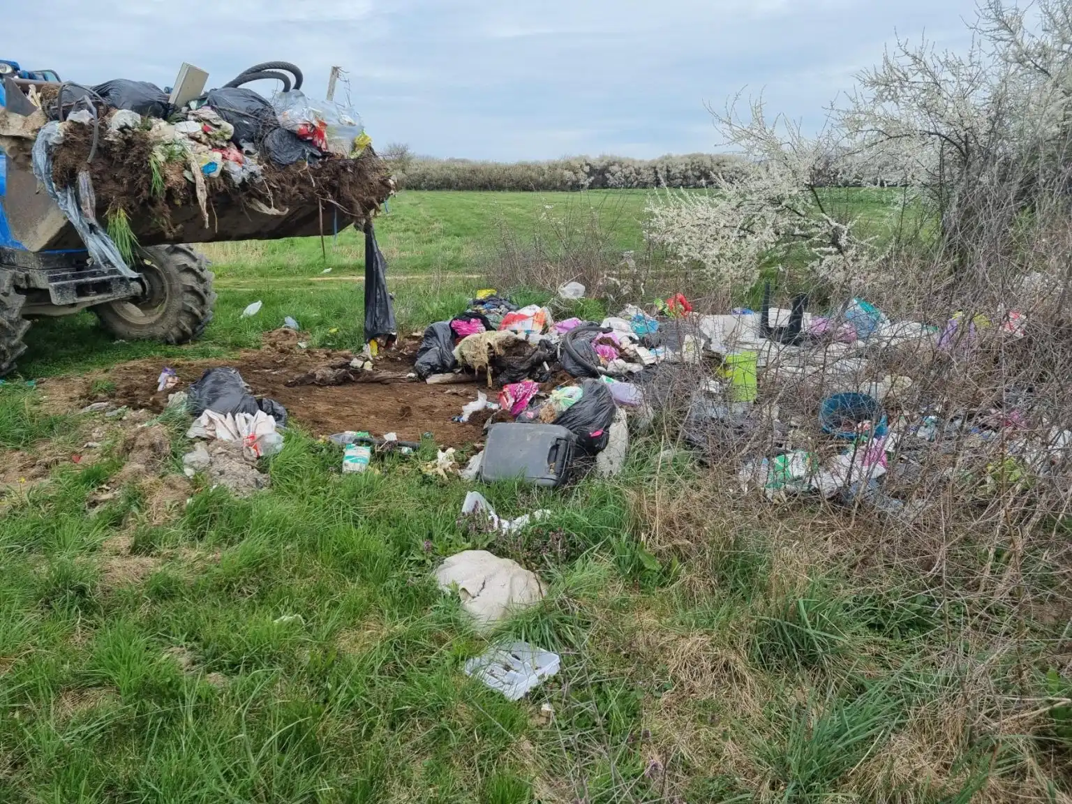 Zelena čistka akcija 2024 (18) Zelena čistka akcija 2024 (18)