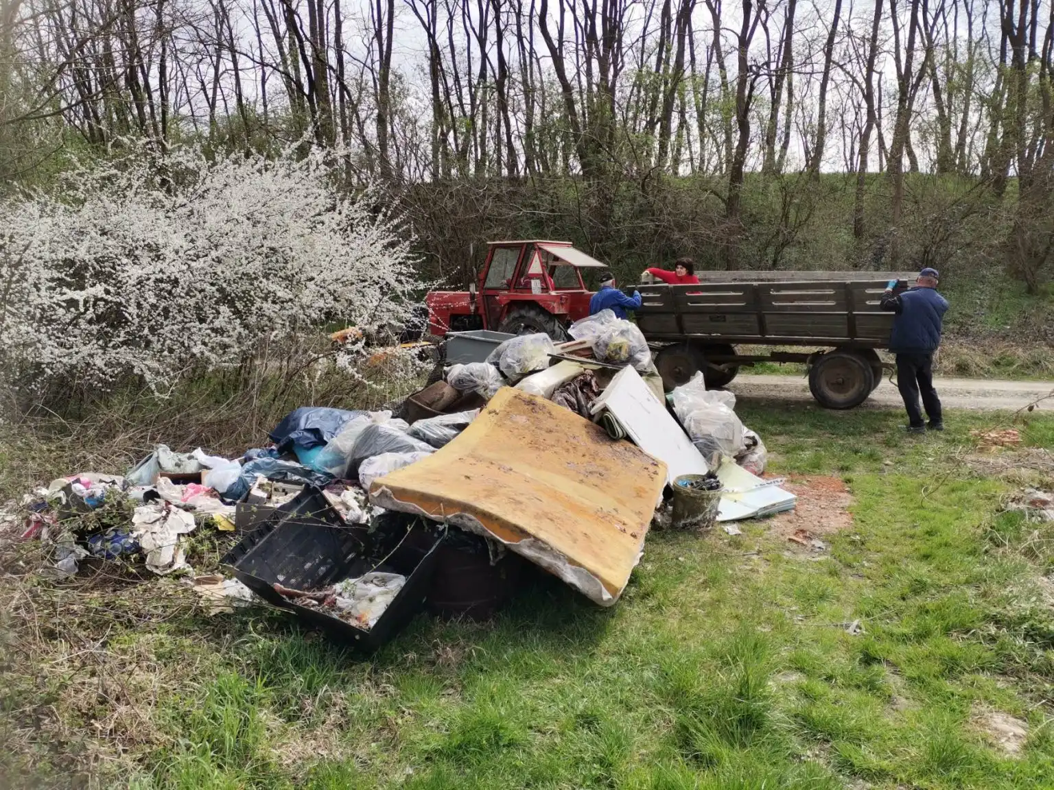 Zelena čistka akcija 2024 (22) Zelena čistka akcija 2024 (22)