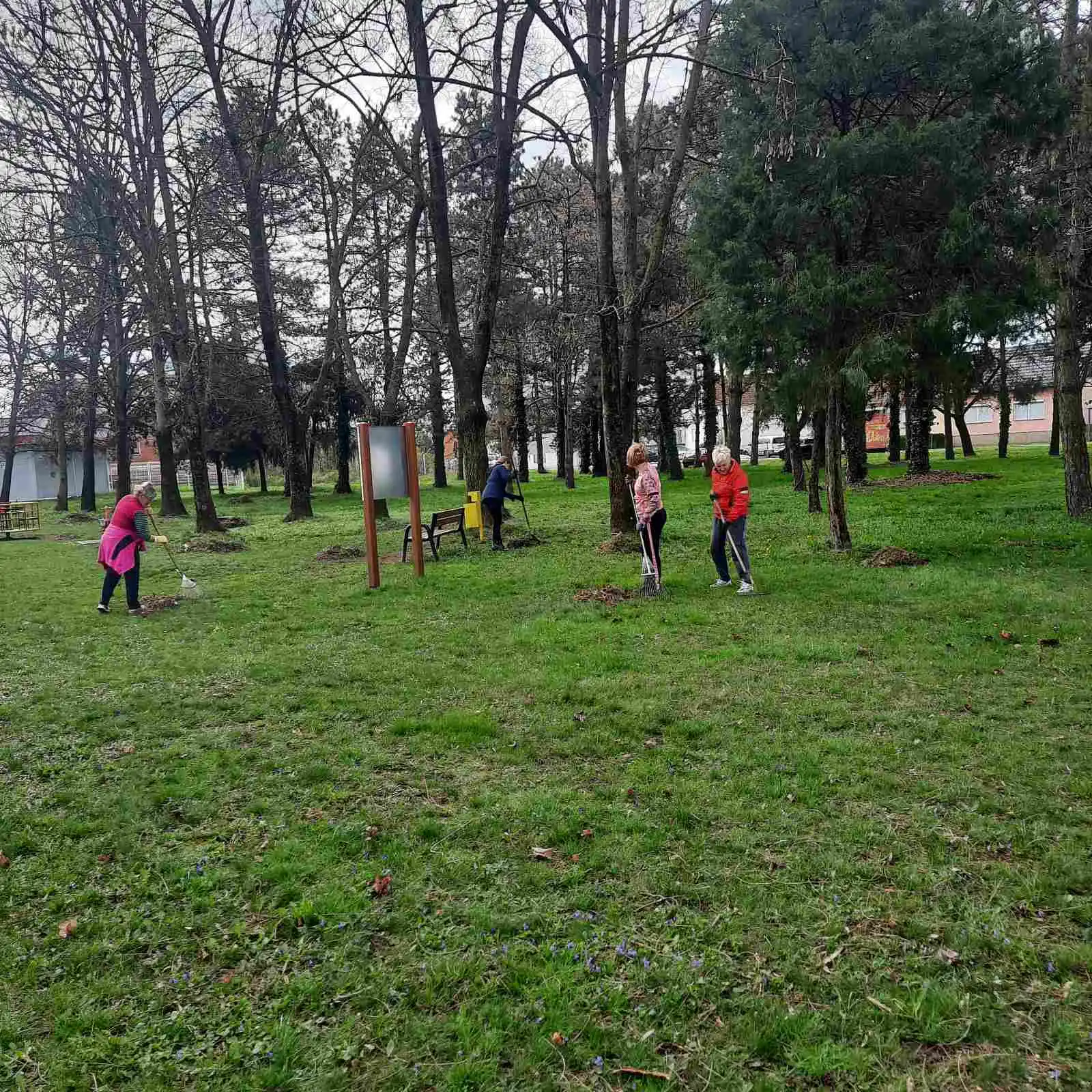 Zelena čistka akcija 2024 (25) Zelena čistka akcija 2024 (25)