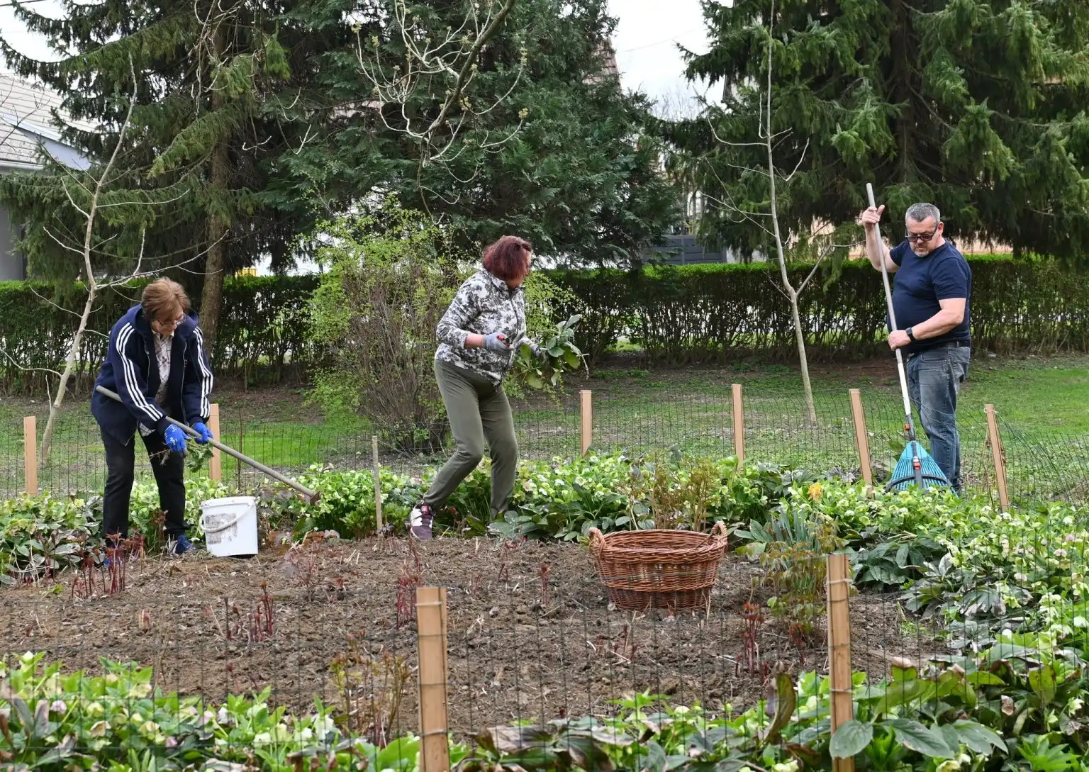 Zelena čistka akcija 2024 (5) Zelena čistka akcija 2024 (5)
