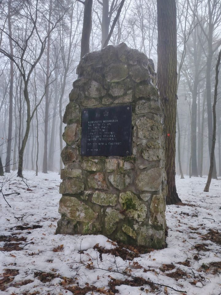 Zelenbor, Brezje, sjeća (5)
