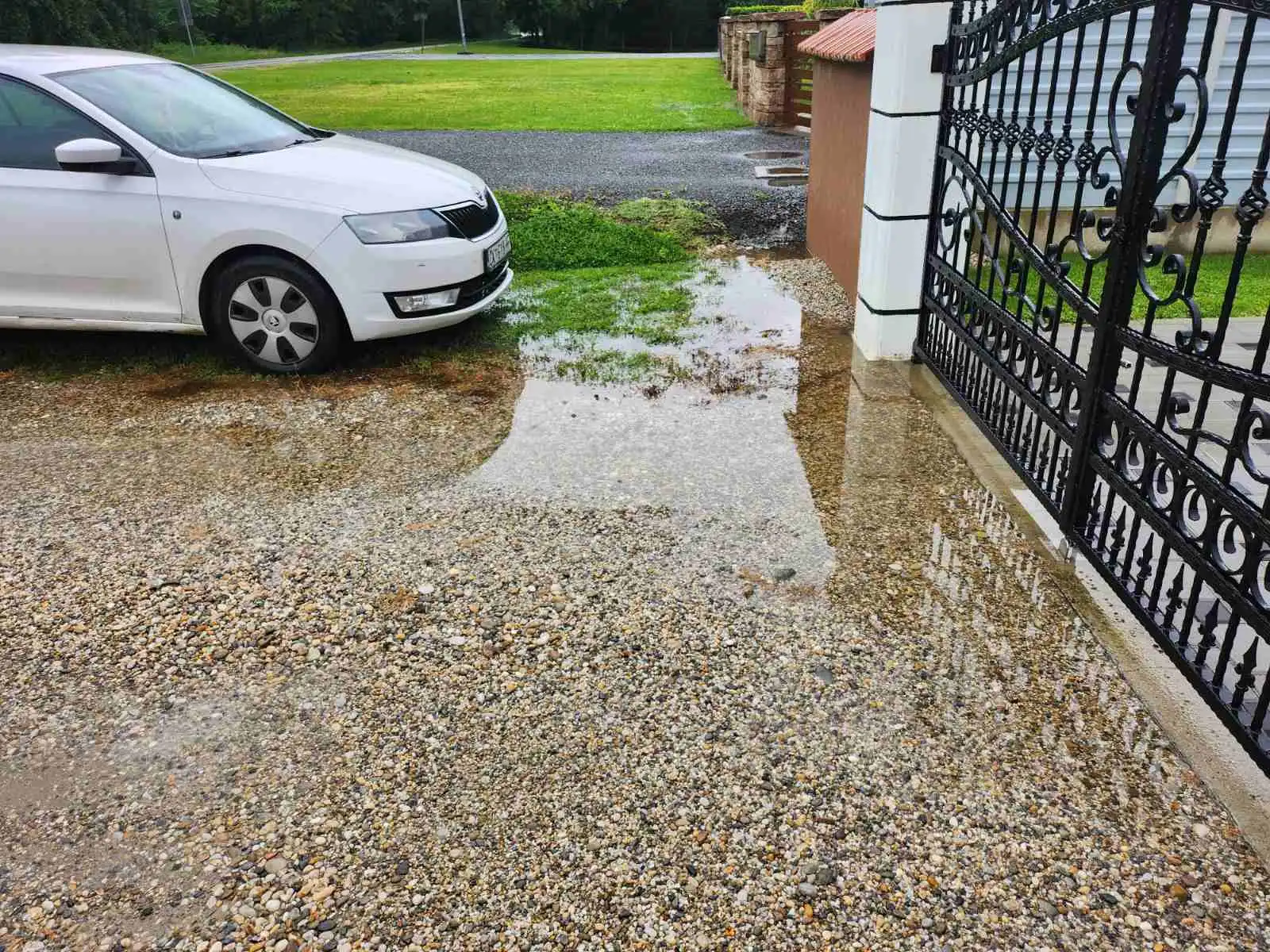 Željko Matić (1) Željko Matić (1)