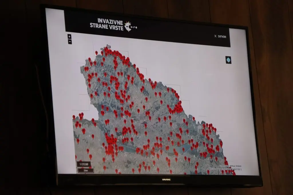 Željko Trupković Agacija (2)