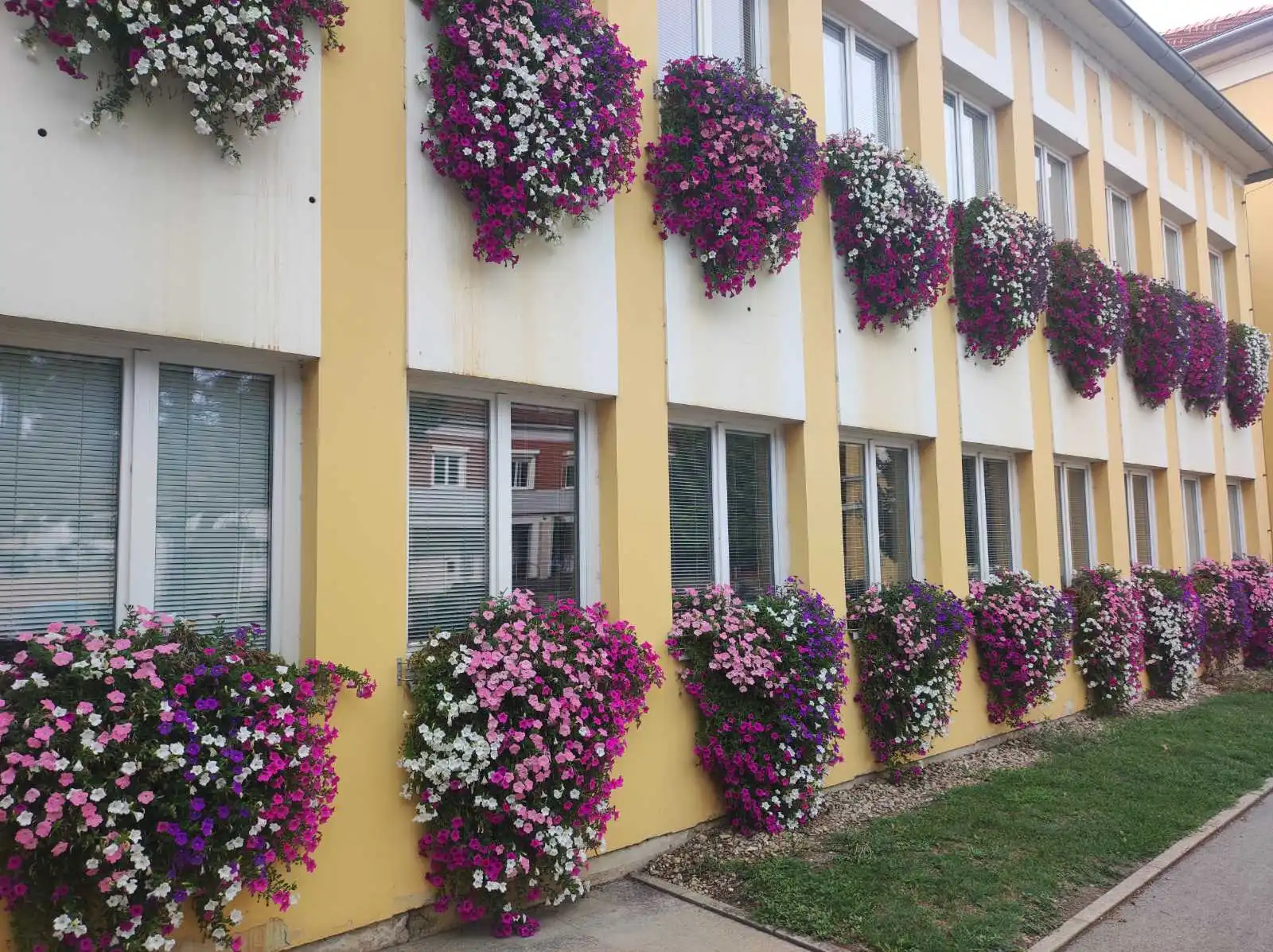 Zgrada Međimurske županije i cvijeće (1) Zgrada Međimurske županije i cvijeće (1)