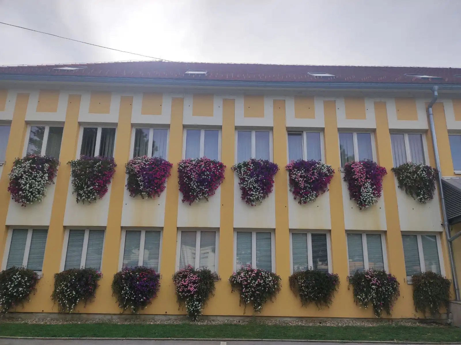 Zgrada Međimurske županije i cvijeće (6) Zgrada Međimurske županije i cvijeće (6)