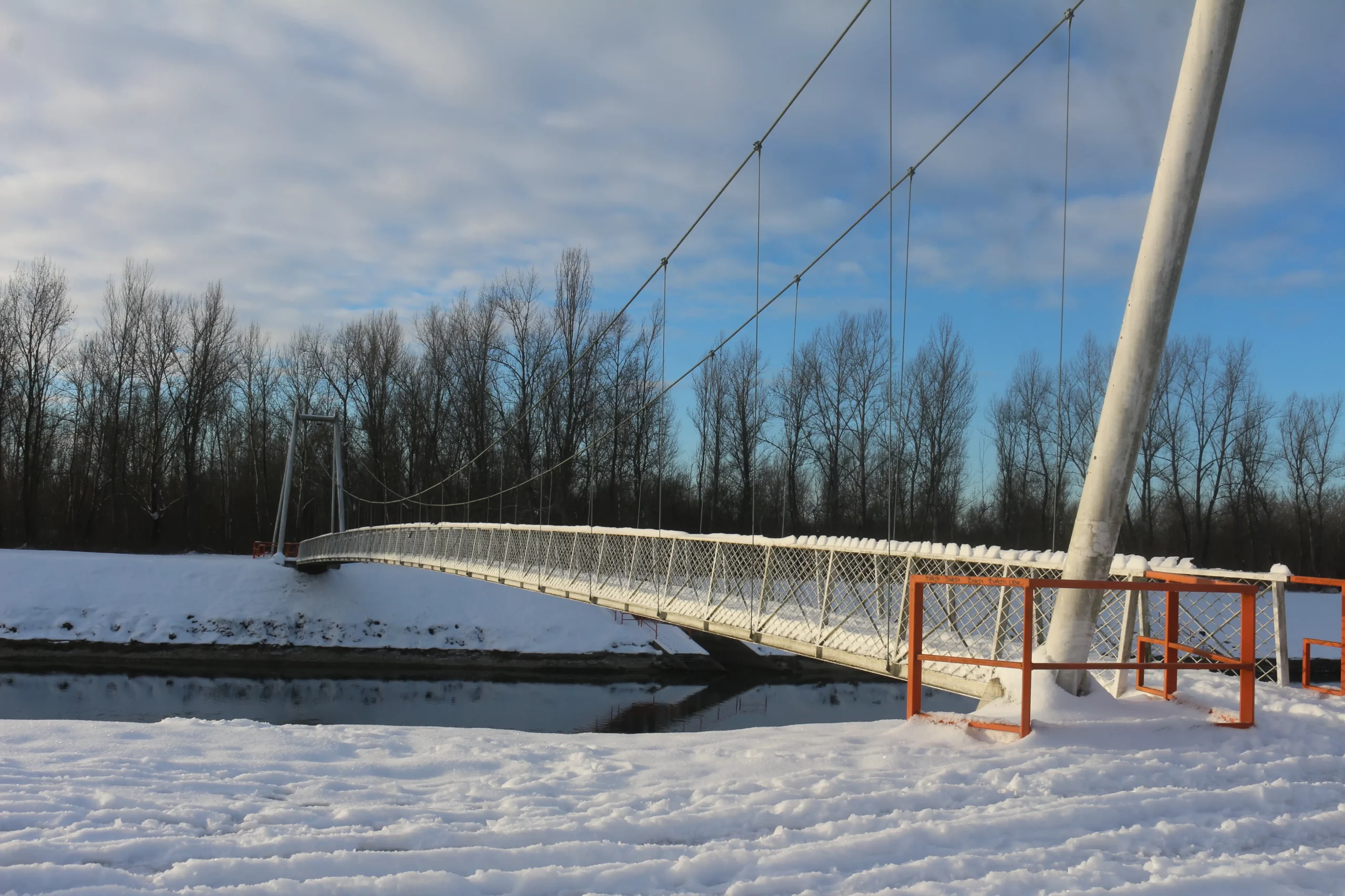 Zima u Donjem Međimurju 11-1-2026 (10)