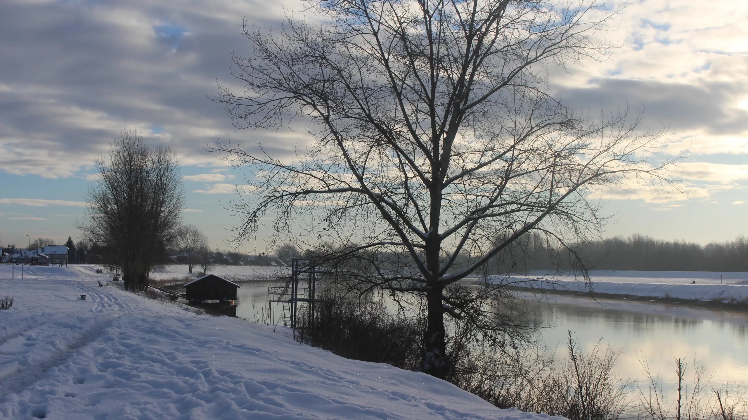 Zima u Donjem Međimurju 11-1-2026 (11)