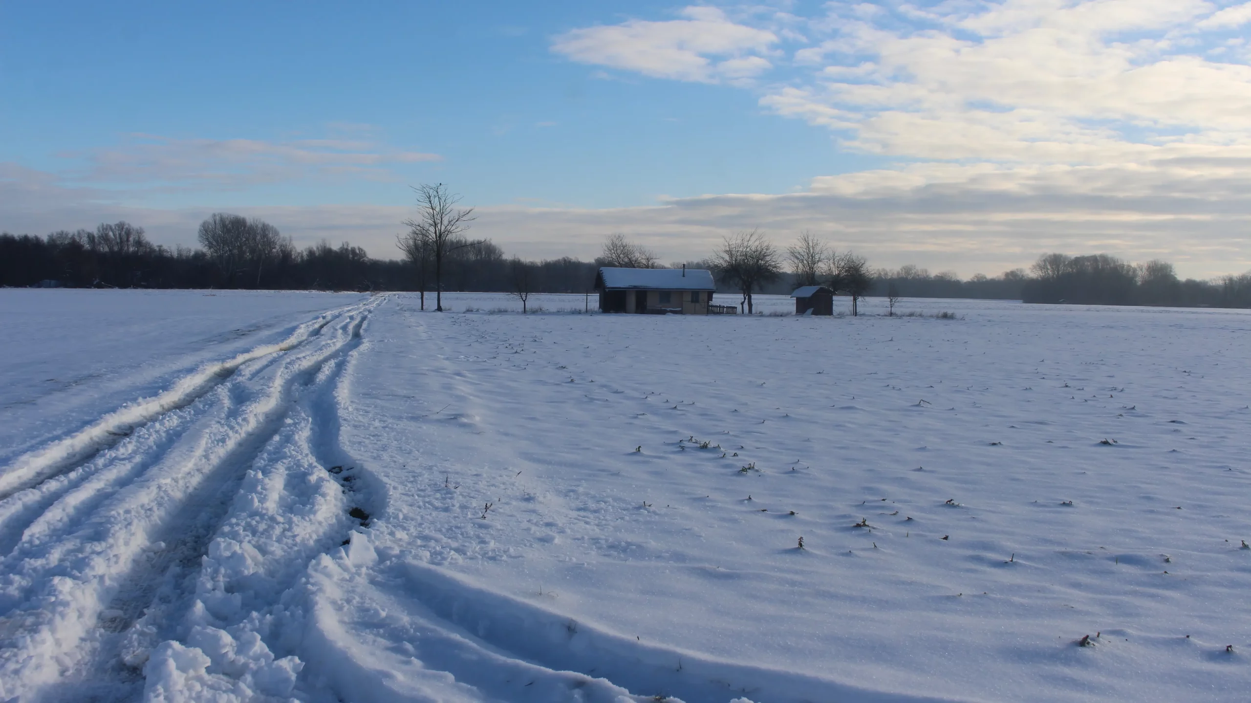 Zima u Donjem Međimurju 11-1-2026 (18)