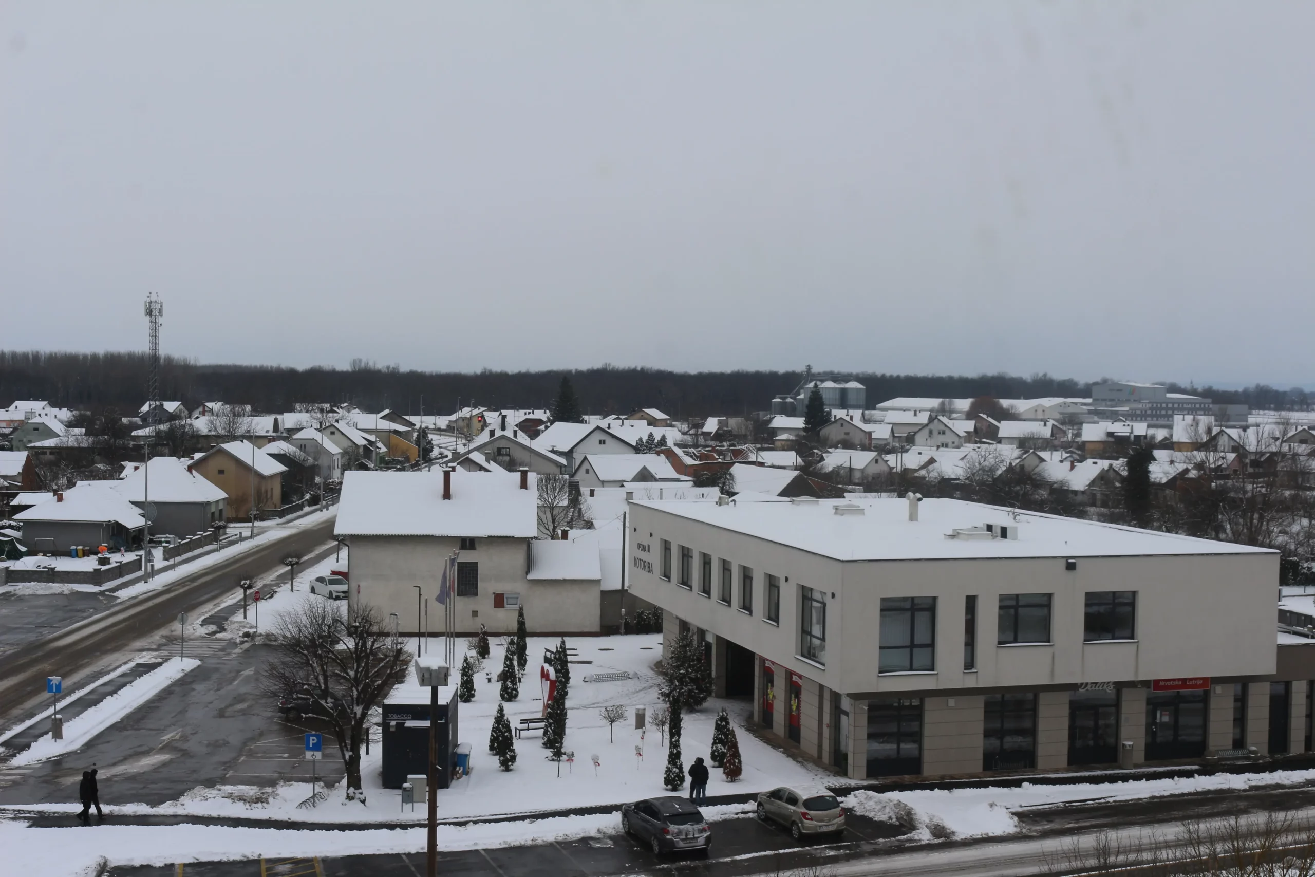 Zima u Donjem Međimurju 11-1-2026 (2)