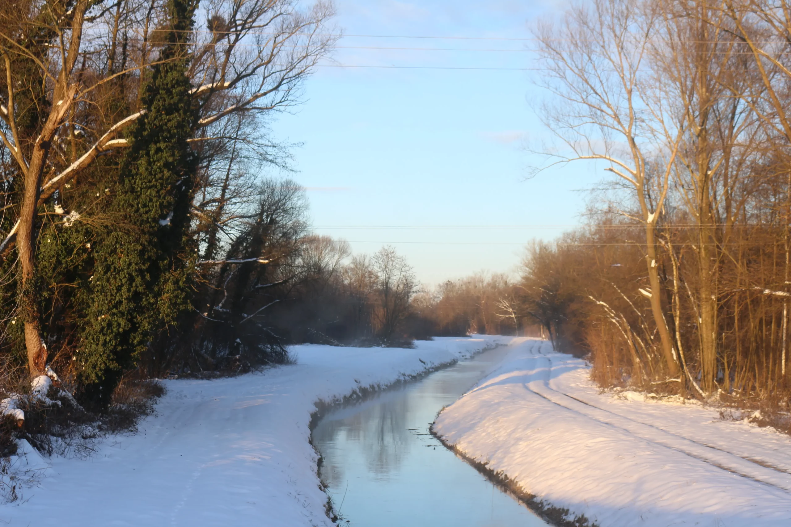 Zima u Donjem Međimurju 11-1-2026 (3)